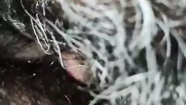 Indian Pussy Licking 3