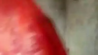 Rajasthan bhabi showing her boobs and pussy to bf
