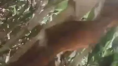 Dehati Chitkul village lady outdoor nangi video