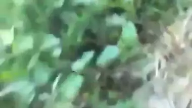 Local Adivasi girl having sex with lover in forest